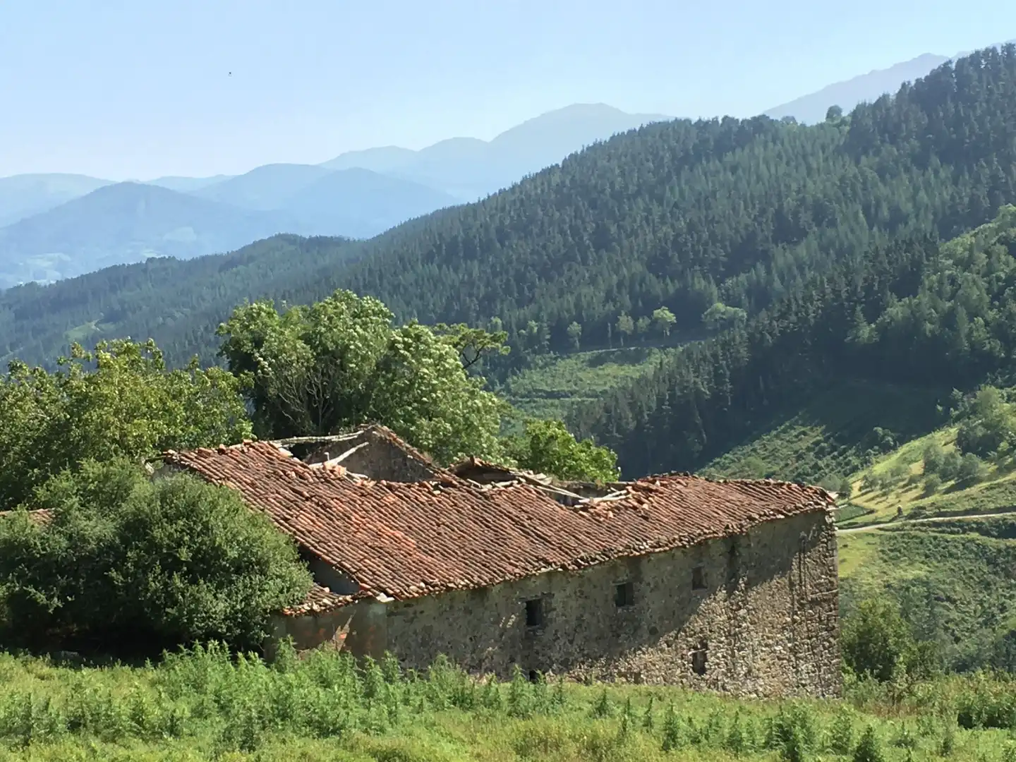 Vista exterior de Finca rústica en venta en Beasain