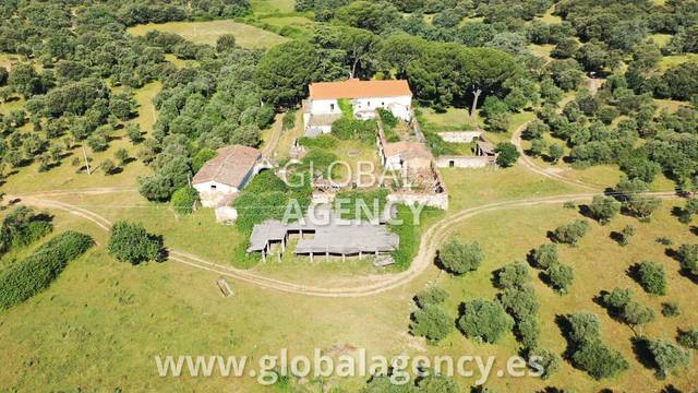 Terreno en Venta en Pasarón de la Vera