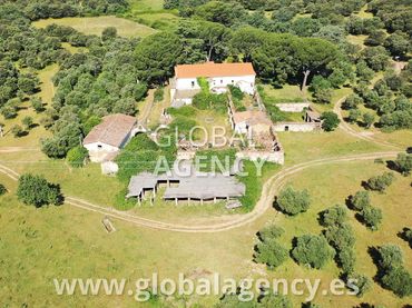 Terrain rustique à vendre à Pasarón de la Vera