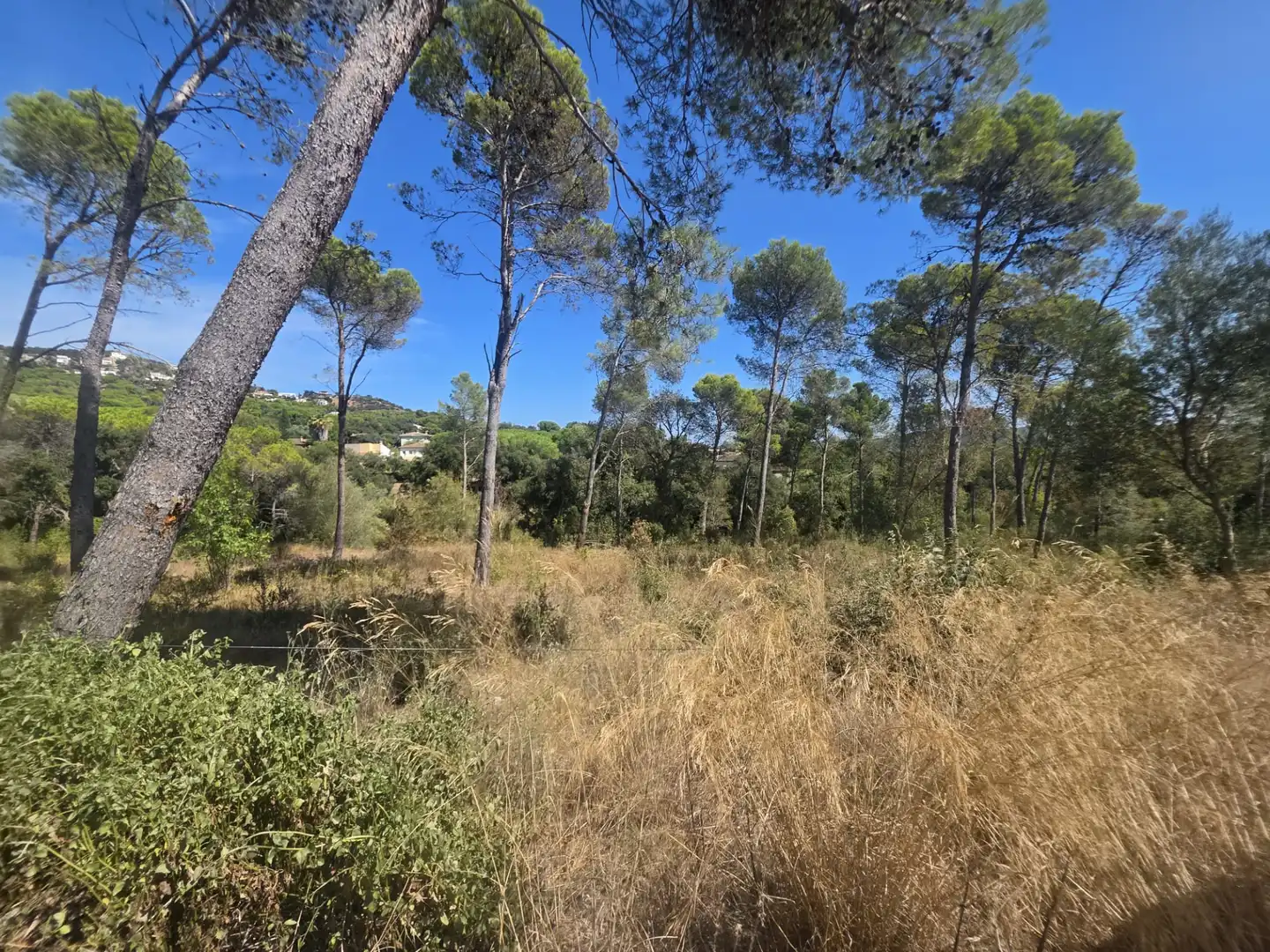 Terreny residencial en venda a Avinguda de l' Església, imagen 4
