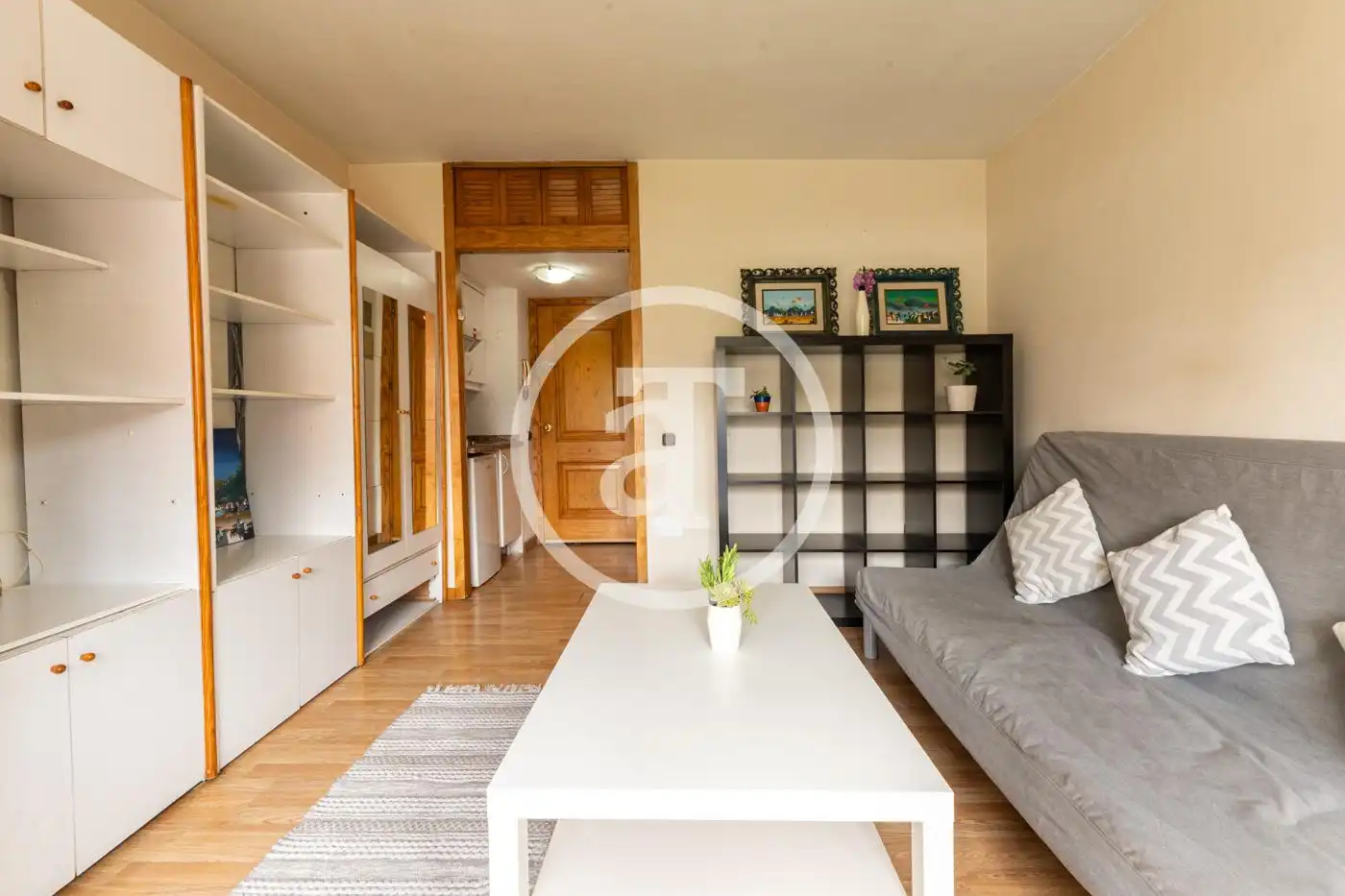 Sala d'estar de Estudi de lloguer en Madrid amb Calefacció, Moblat i Rentadora