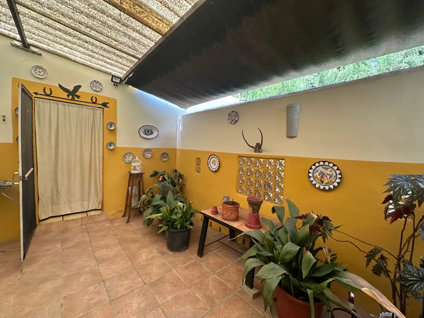 Lands and plots for sale in Centro, imagen 20