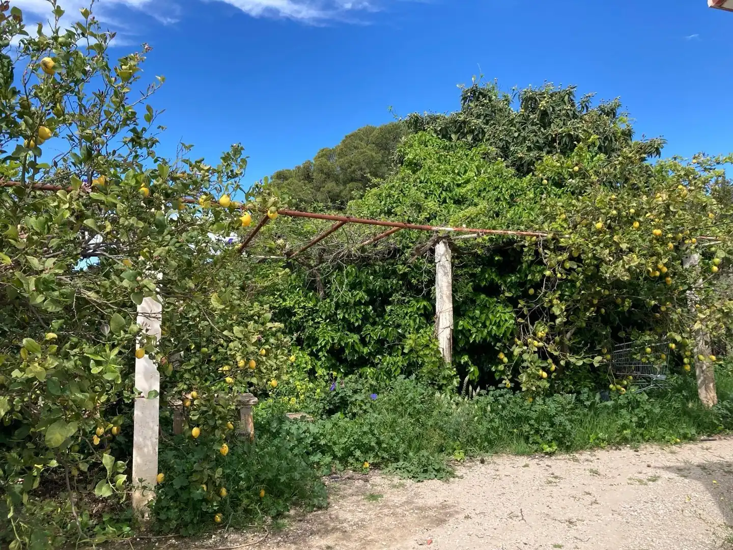 Casa rústica amb jardí en venda a Bobadilla - Bobadilla Estación - La Joya, imagen 3