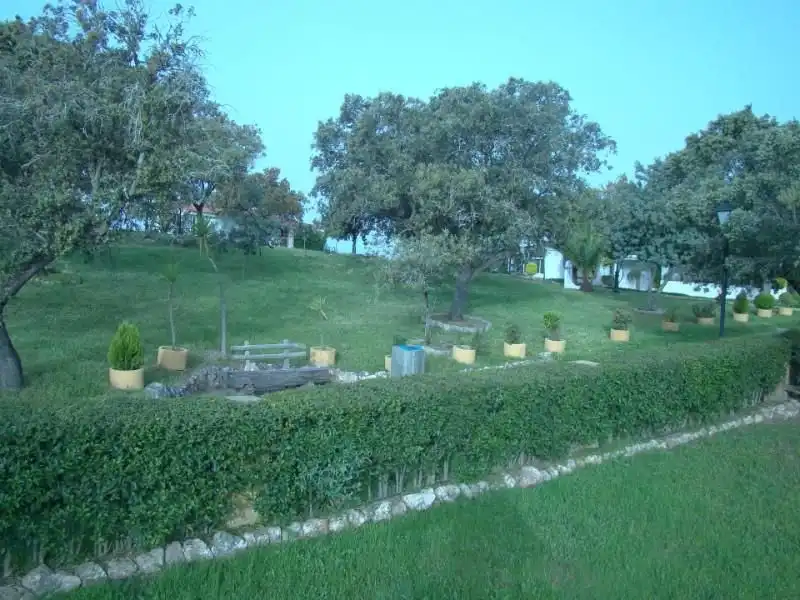 Terreni e lotti in vendita a Alcántara, imagen 18