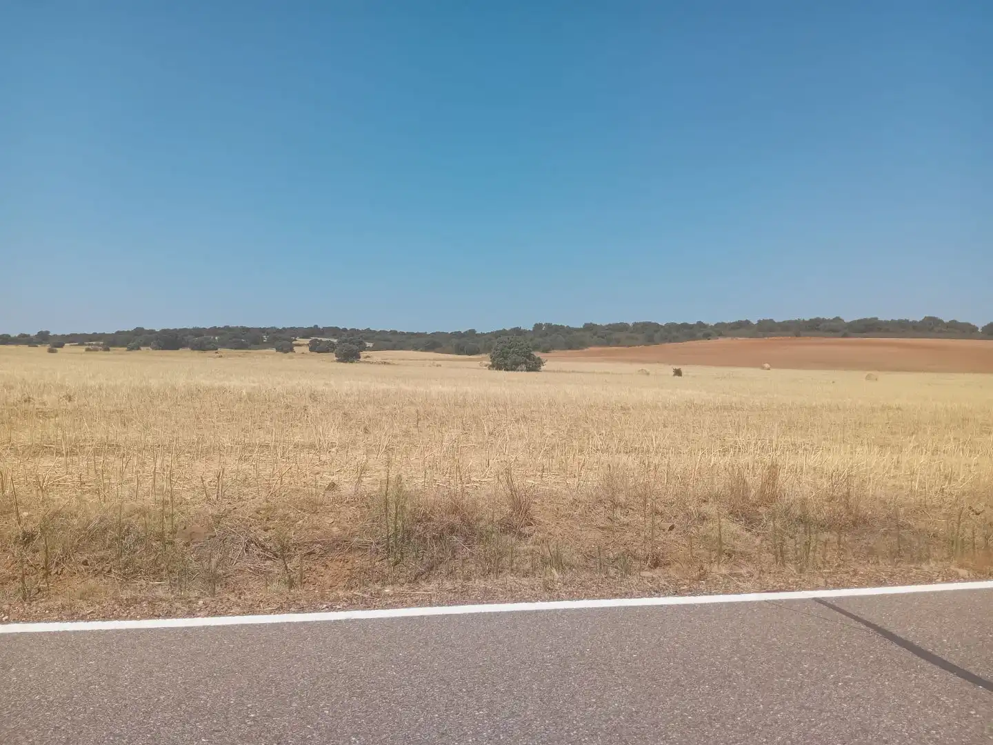 Terreno en venta en Moreruela de Tábara