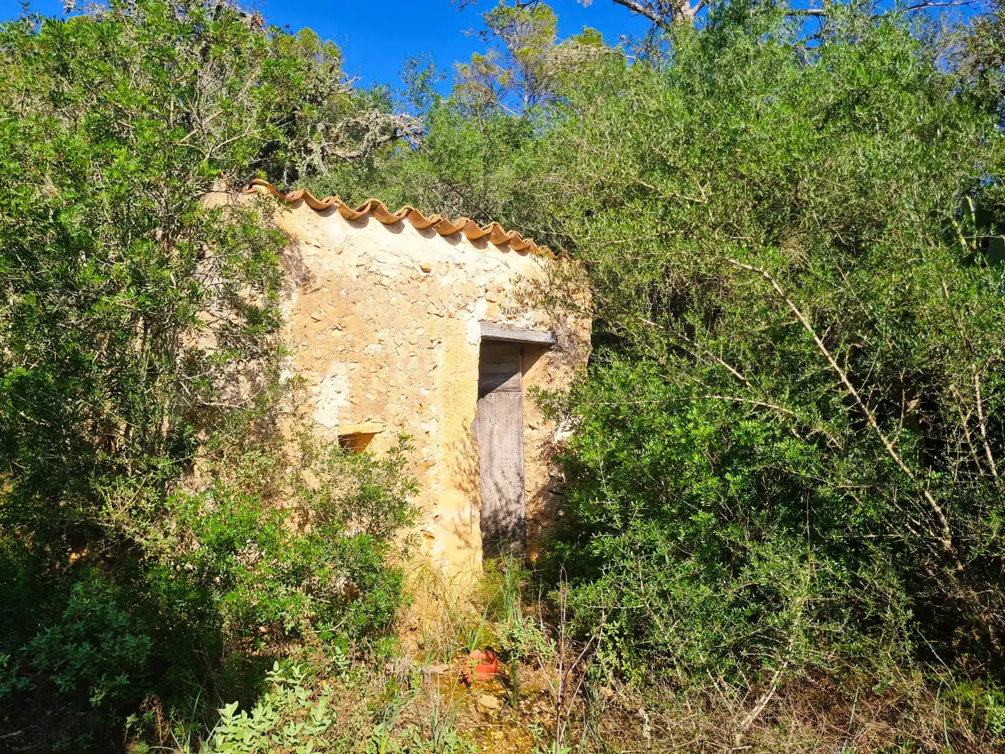 Terrain rustique à vendre à Costitx, imagen 17