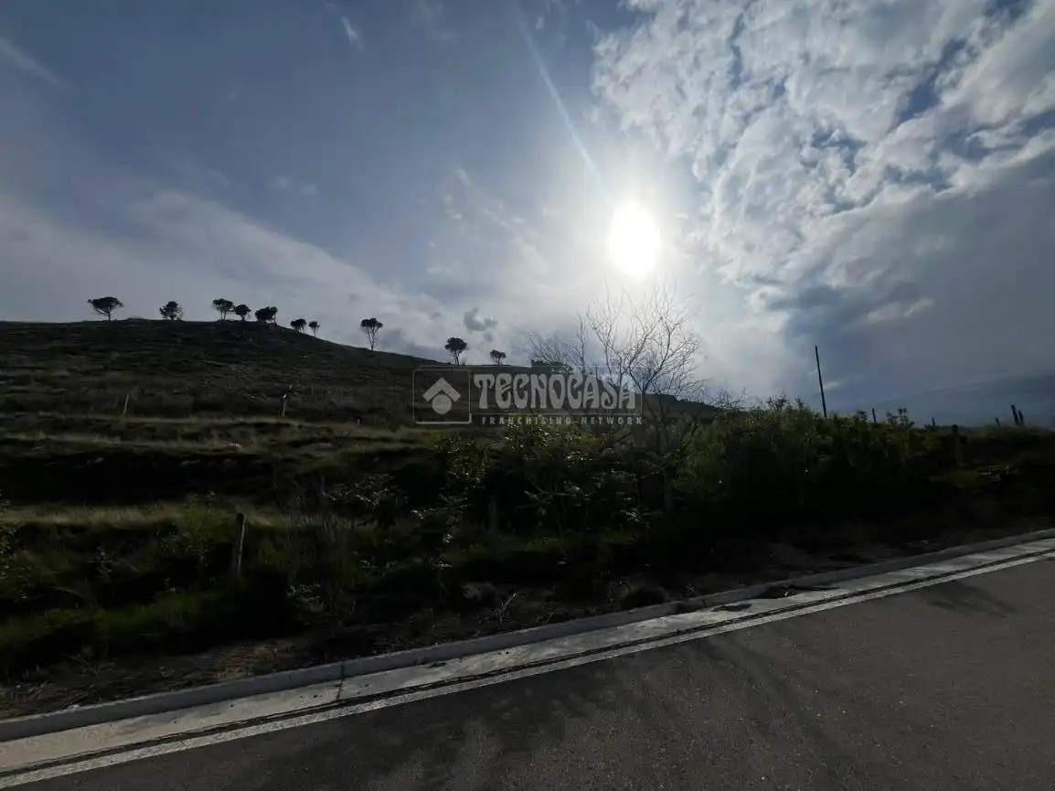 Land for sale in Borja