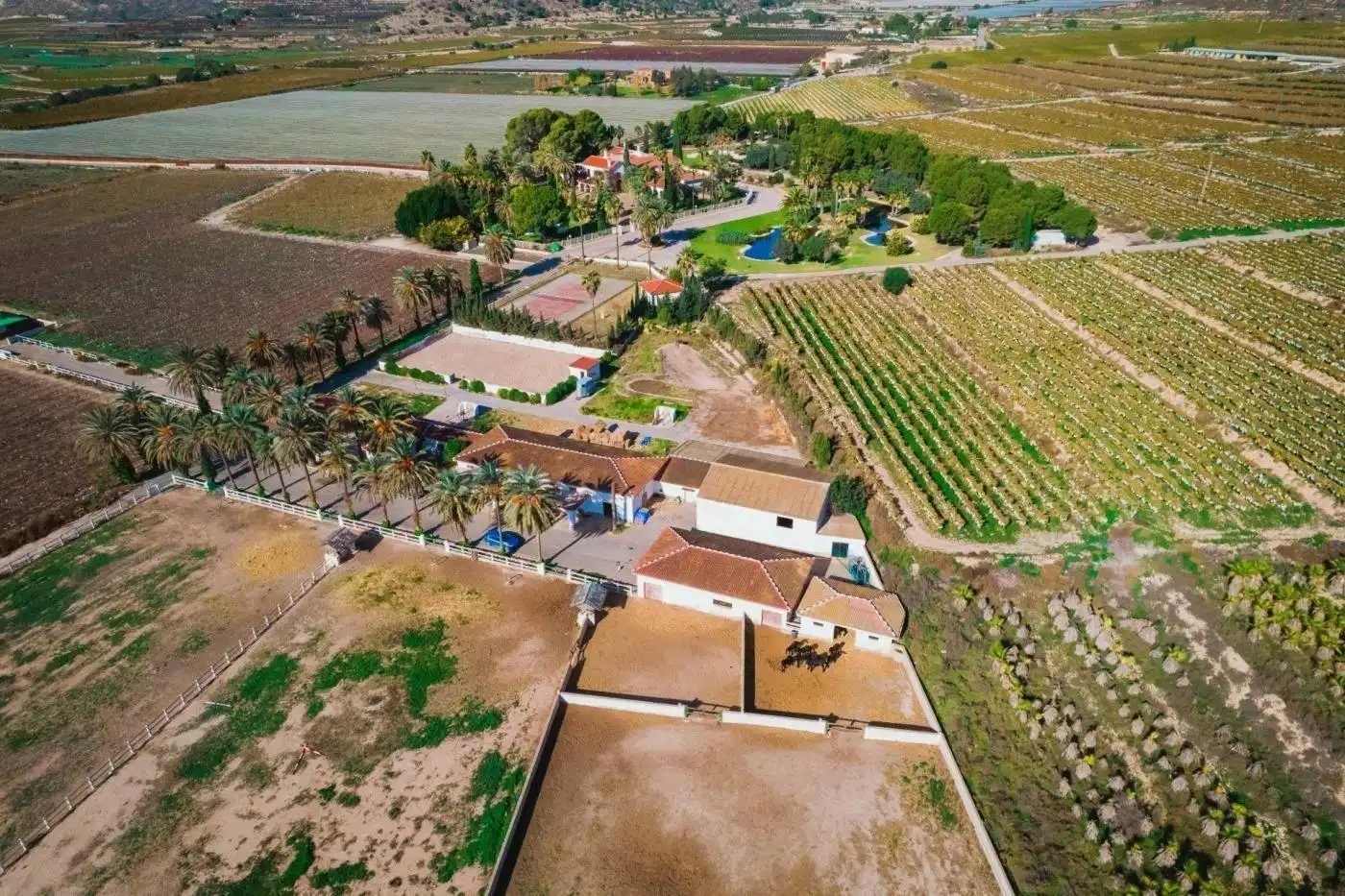 Außenansicht von Country house zum Verkauf in Novelda mit Klimaanlage, Heizung und Privatgarten