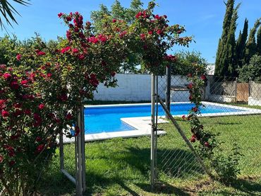 Detached house with pool for sale in Barrio Nuevo