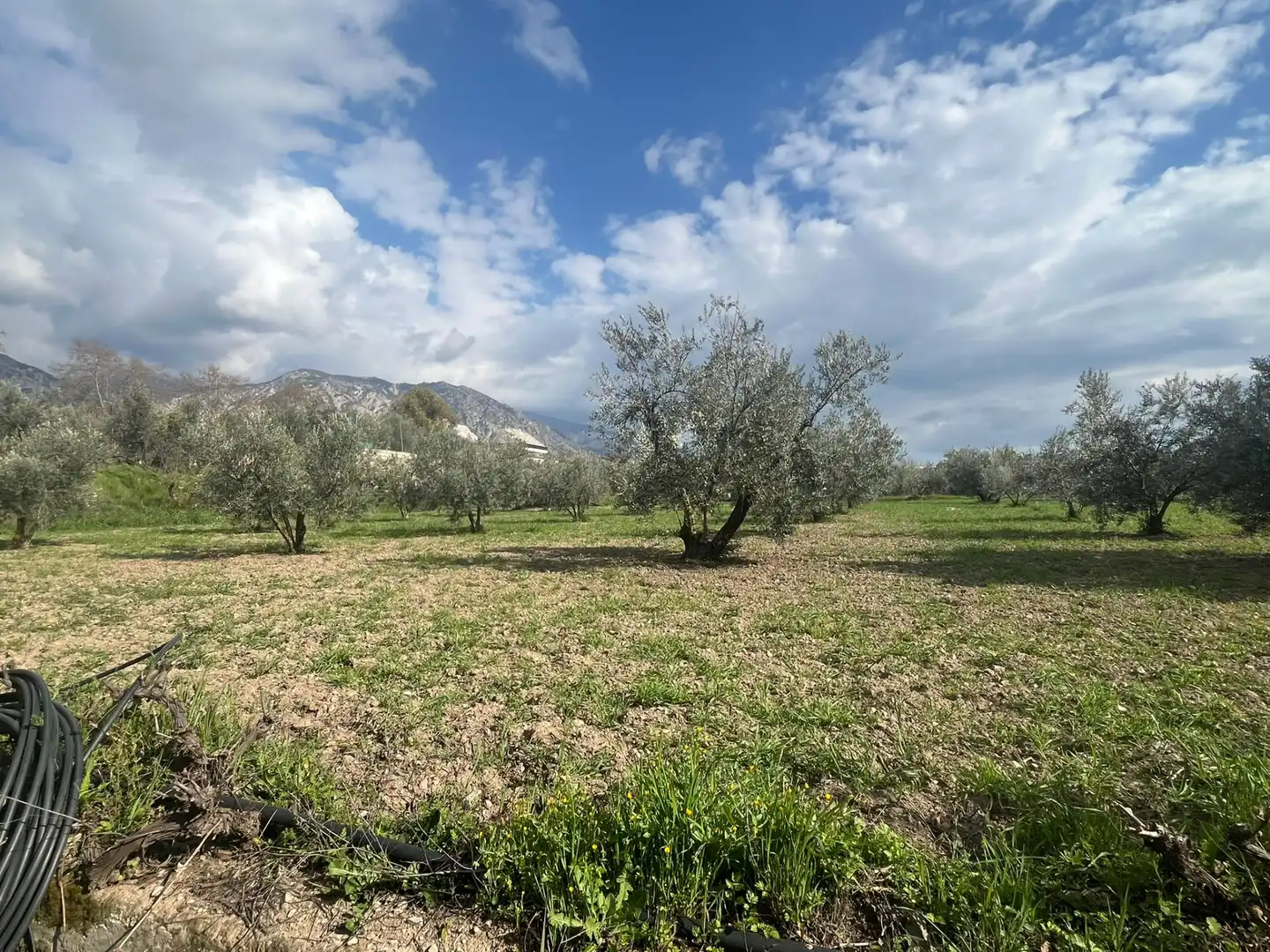 Land for sale in Dúrcal