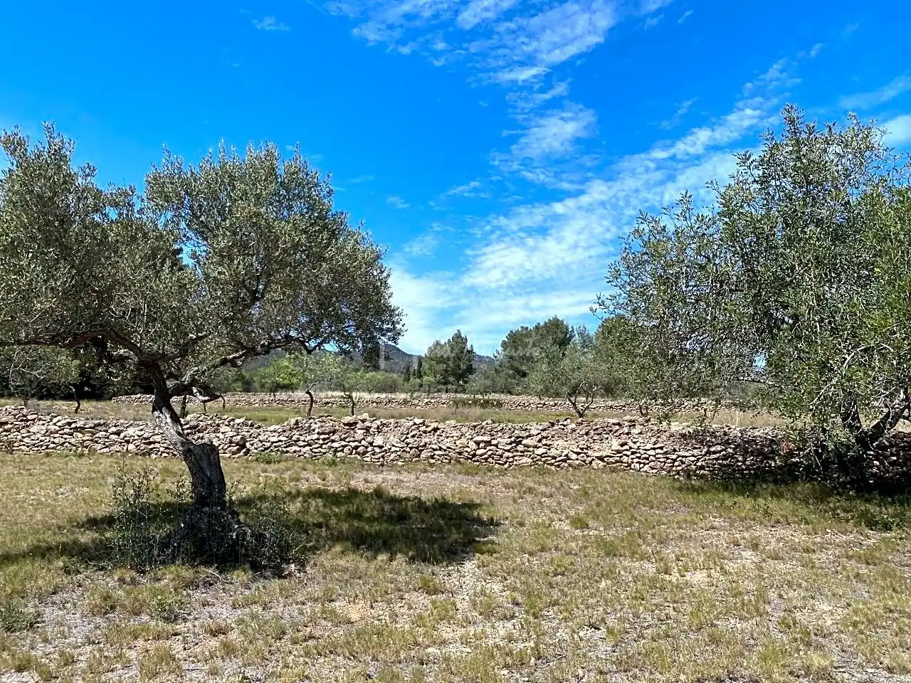 Terreno rustico in vendita a Mas de Baralluga, imagen 17