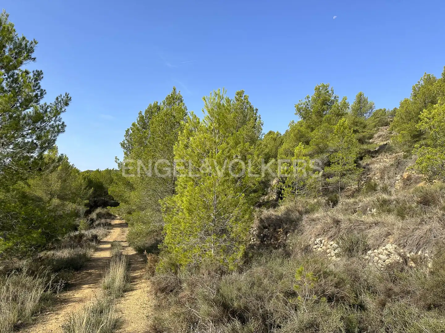 Residential land for sale in Torrelles de Foix, imagen 36