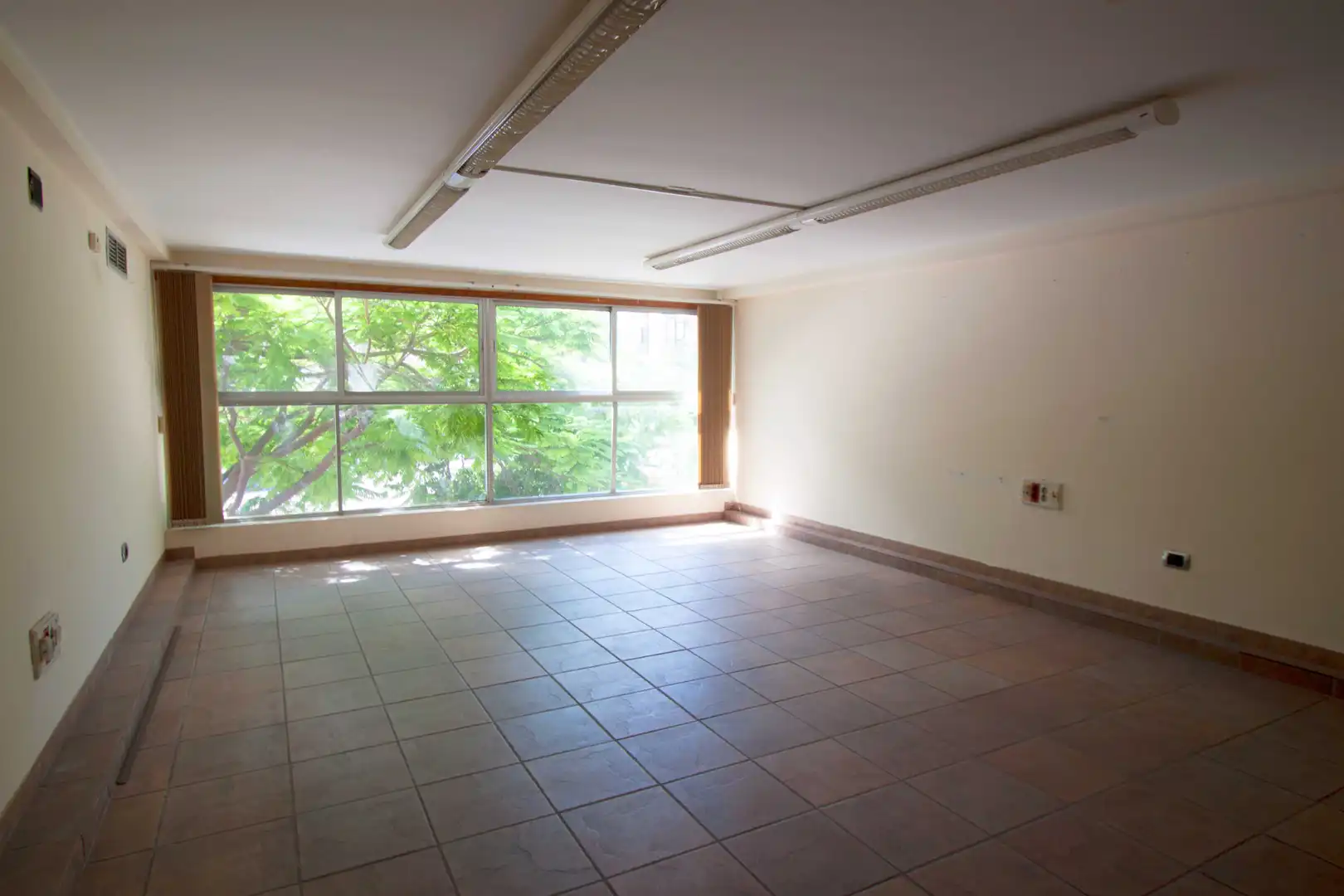 Office space with lift for sale in Avenida Juan XXIII, imagen 5