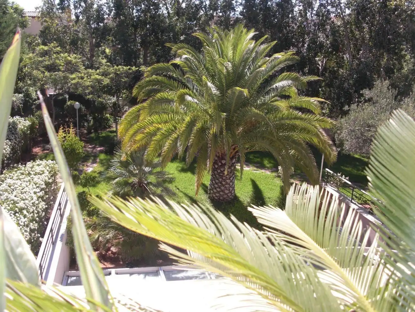 Garden of Houses for sale in La Envía