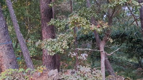 Foto 4 de Terreno en venta en Ou-102, 4, Paderne de Allariz, Ourense