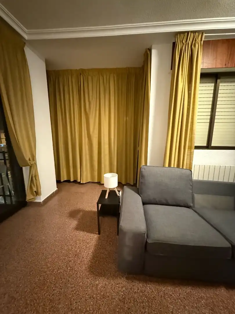 Sala d'estar de Apartament de lloguer en Centro