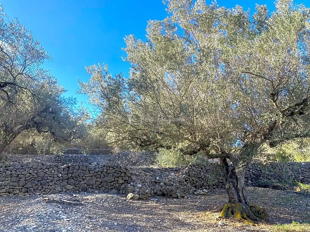 Terreno rustico in vendita a Aubachs, imagen 15