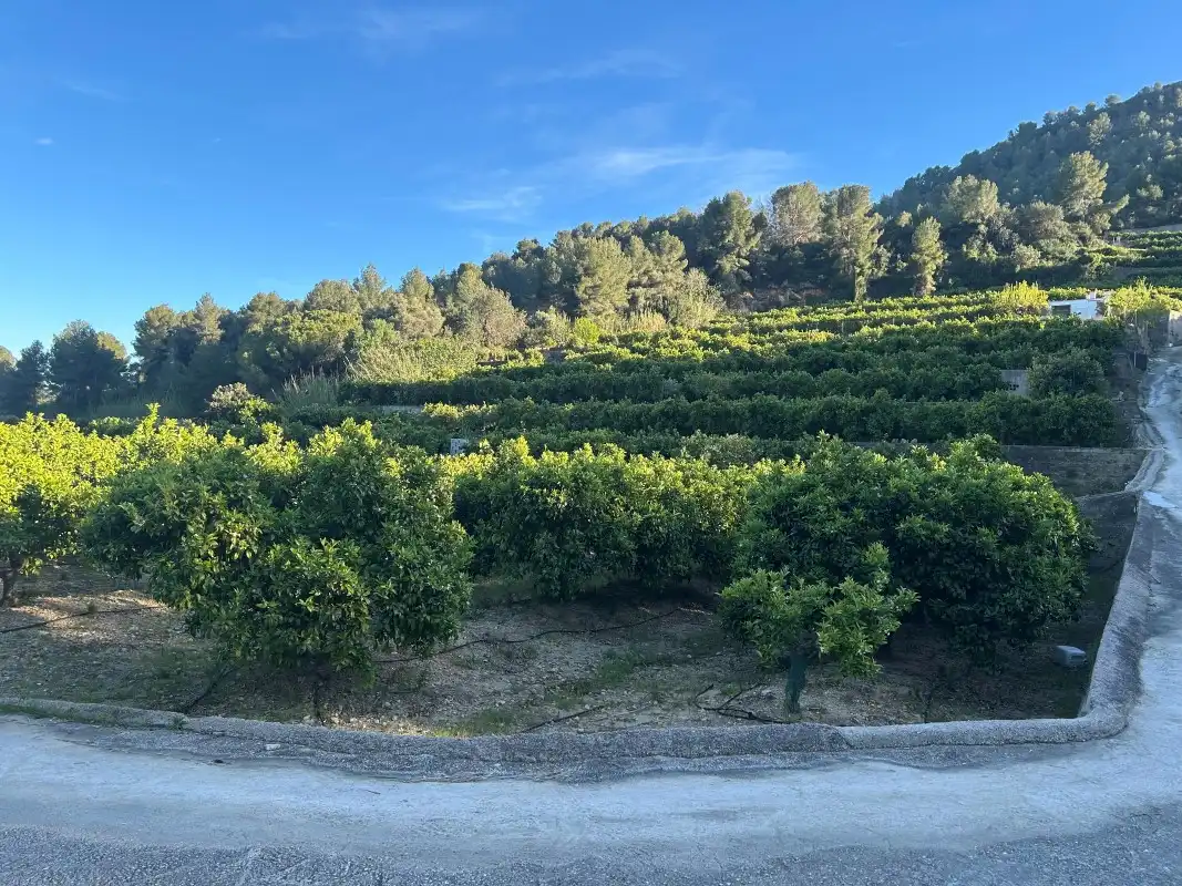 Finca rústica en venda en Oliva amb Moblat