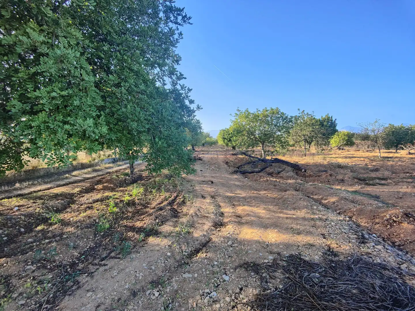 Residencial en venda en Consell