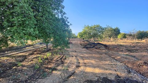 Finca rústica en venta, immagine 4