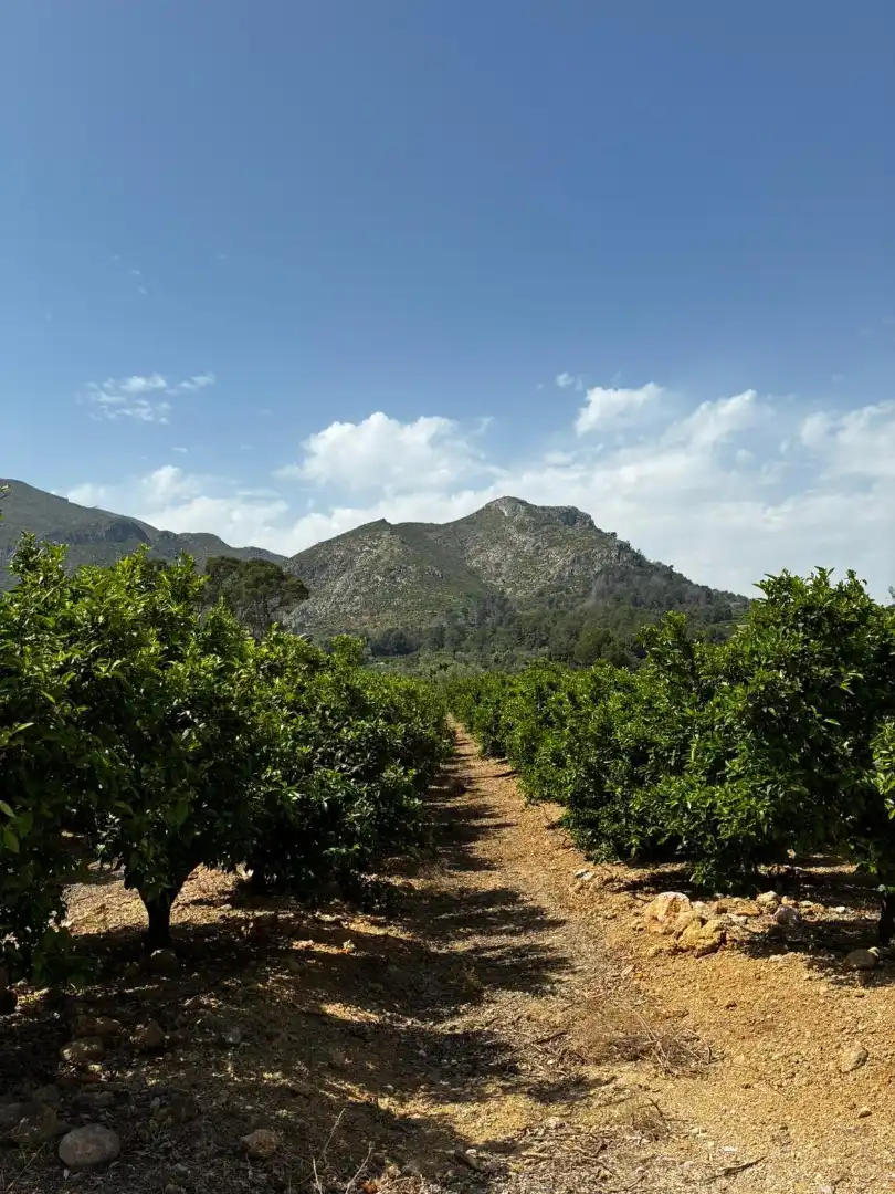 Exterior view of Country homes for sale in Castellonet de la Conquesta  with Air Conditioner, Heating and Private garden