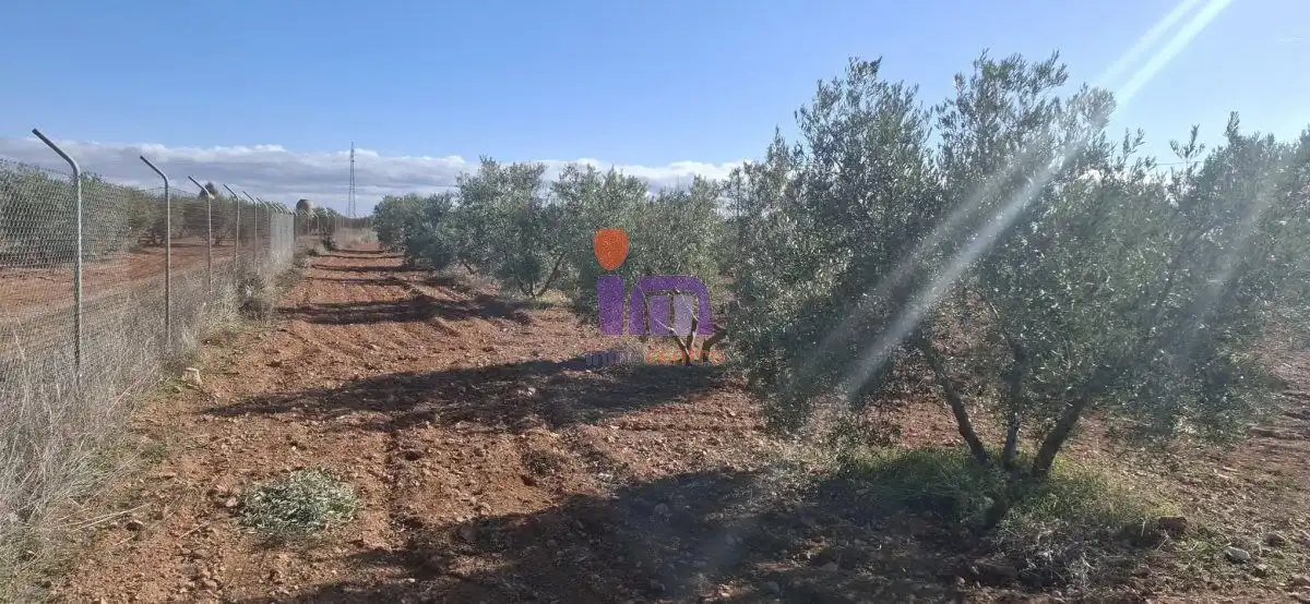 Casa rústica en venda a Valdepeñas, imagen 24
