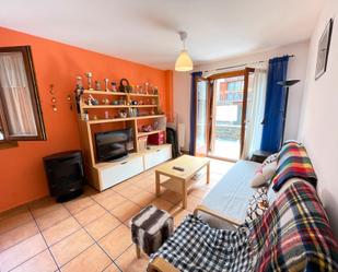 Sala d'estar de Apartament en venda en Vall de Cardós amb Terrassa