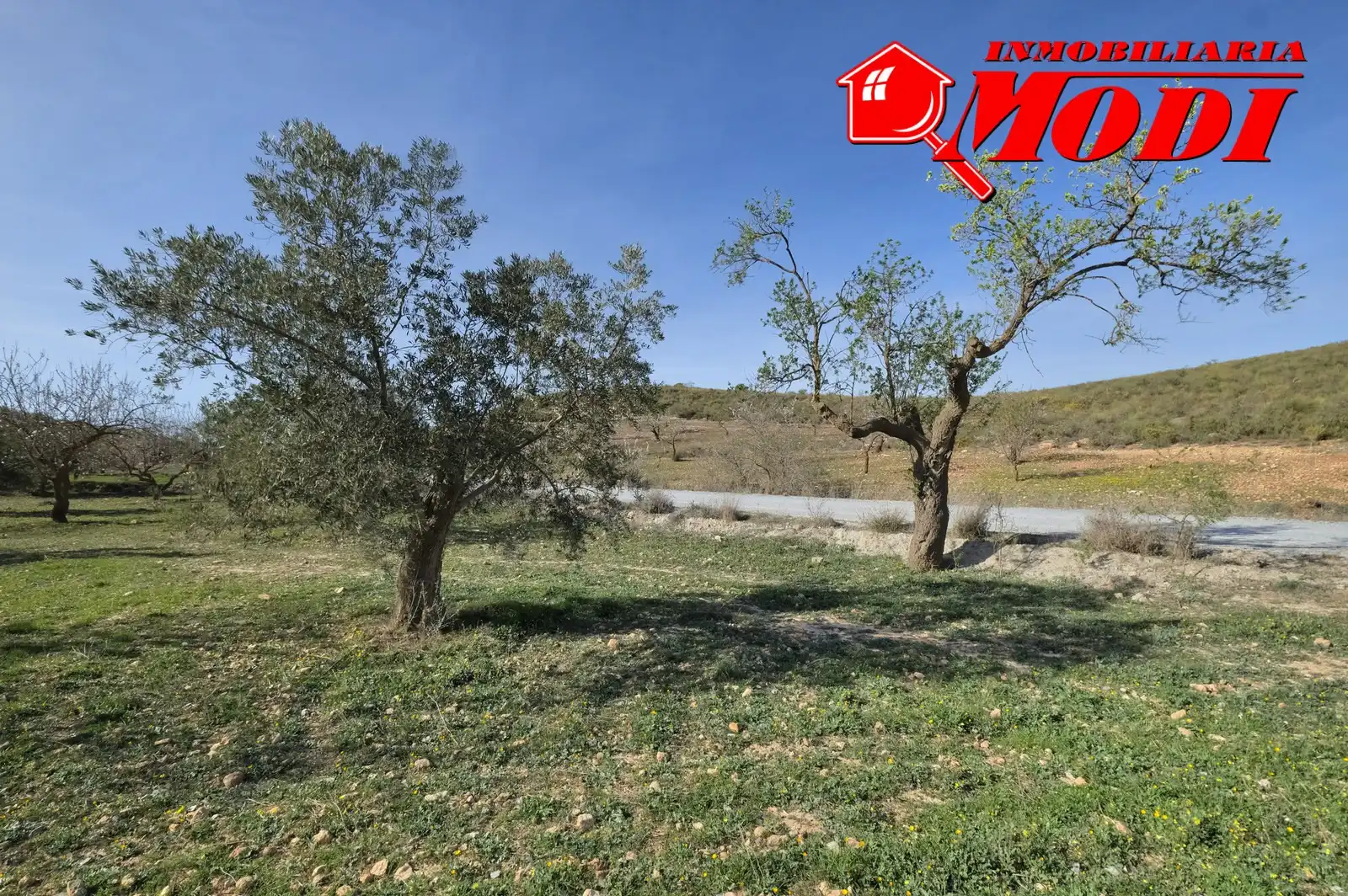Terreni e lotti in vendita a El Valle, imagen 16