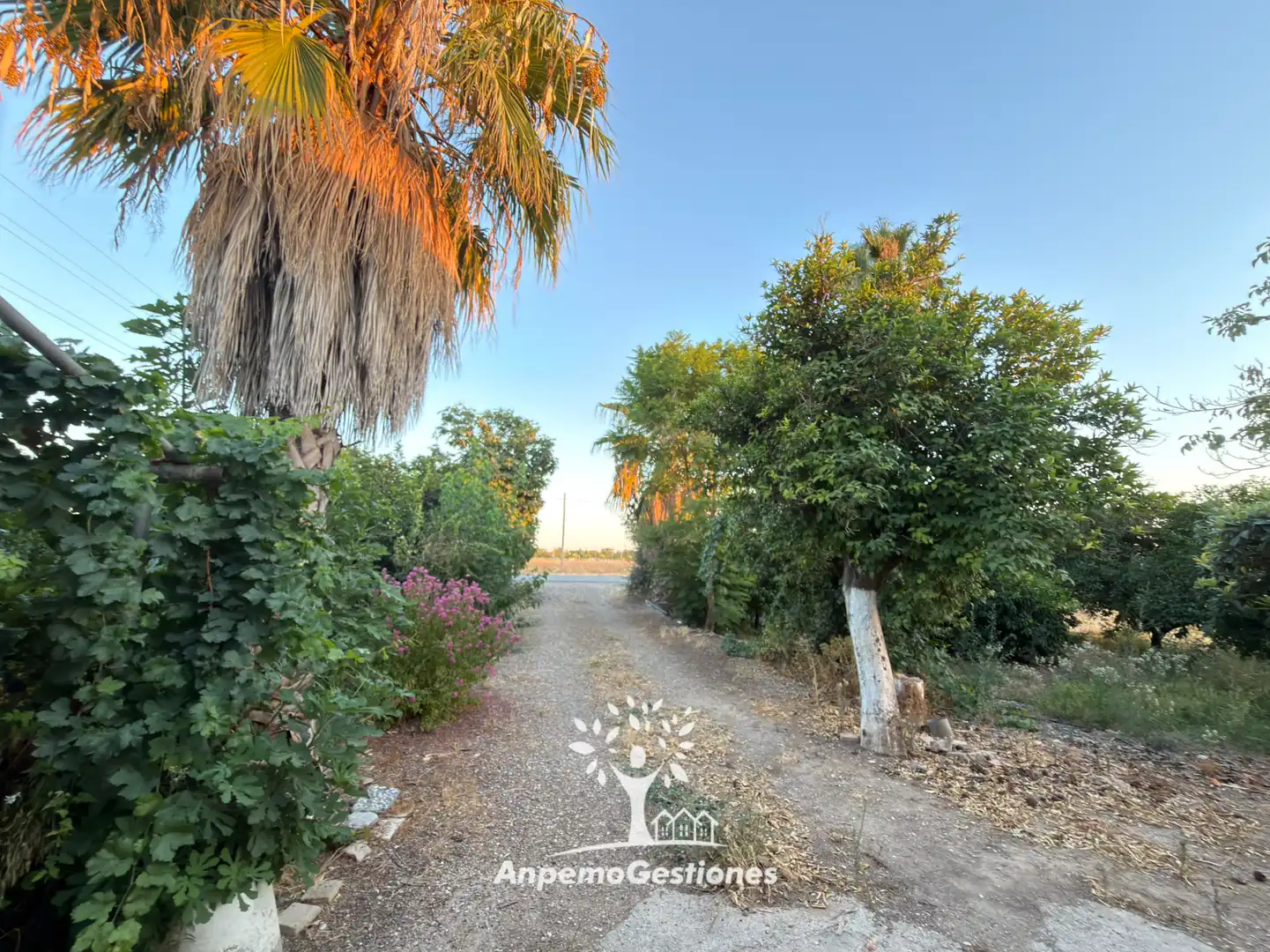 Casa amb jardí en venda a Diseminado Cr Remolino 38, imagen 14