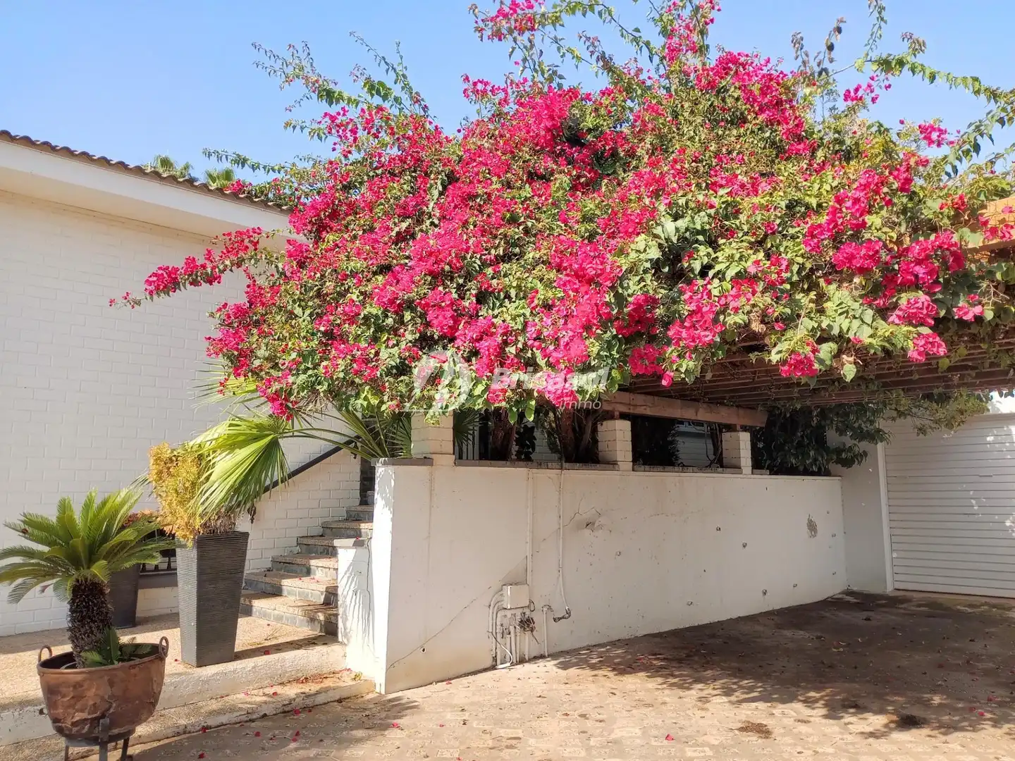 Vista exterior de Casa o chalet en venta en Cambrils con Aire acondicionado, Jardín privado y Terraza