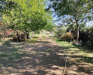 Finca rústica en venda en Almodóvar del Campo amb Terrassa i Piscina