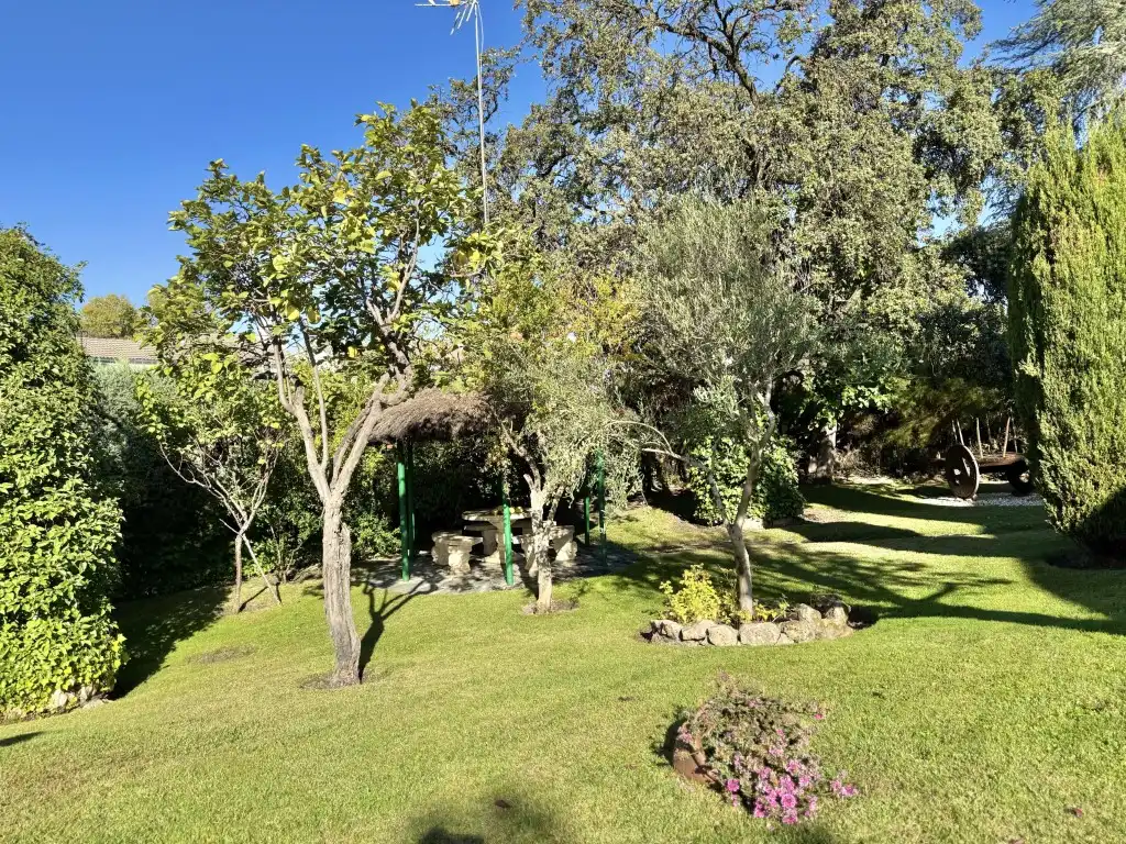 Jardín de Casa o chalet en venta en Algete