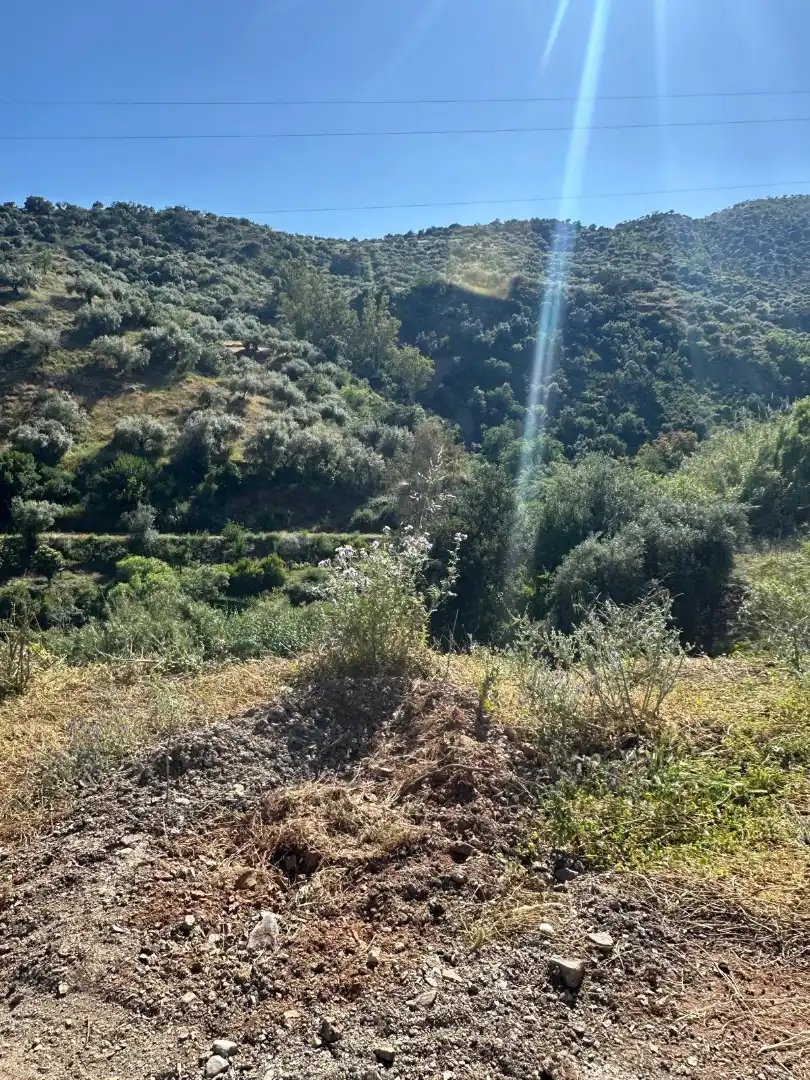 Terreni e lotti in vendita a Riogordo, imagen 10