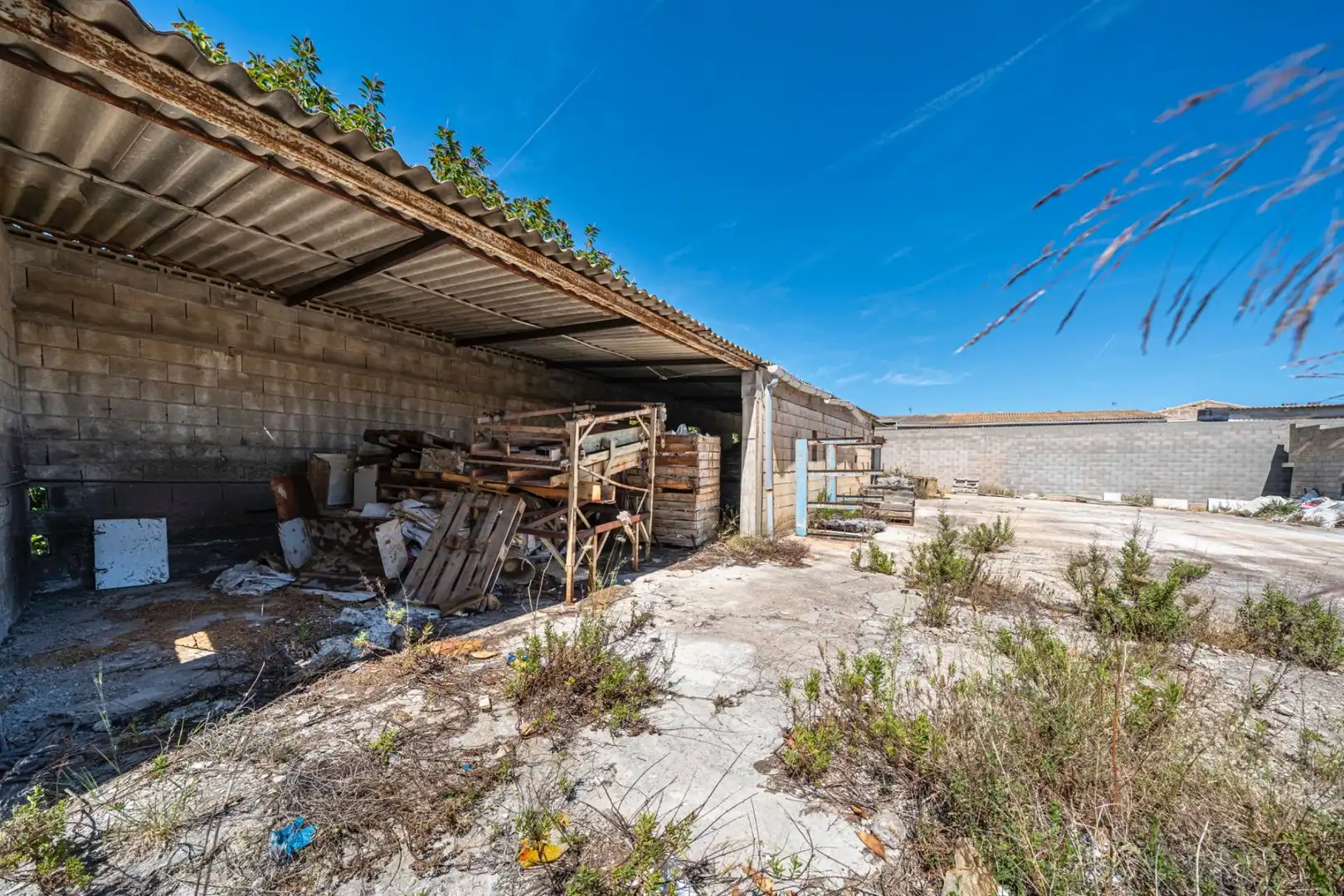 Rural land for sale in Muro, imagen 13