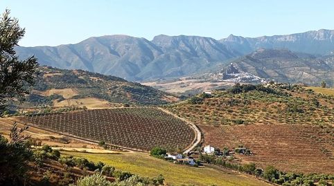 Finca Rúst. en venta en Dehesa Vieja., immagine 4