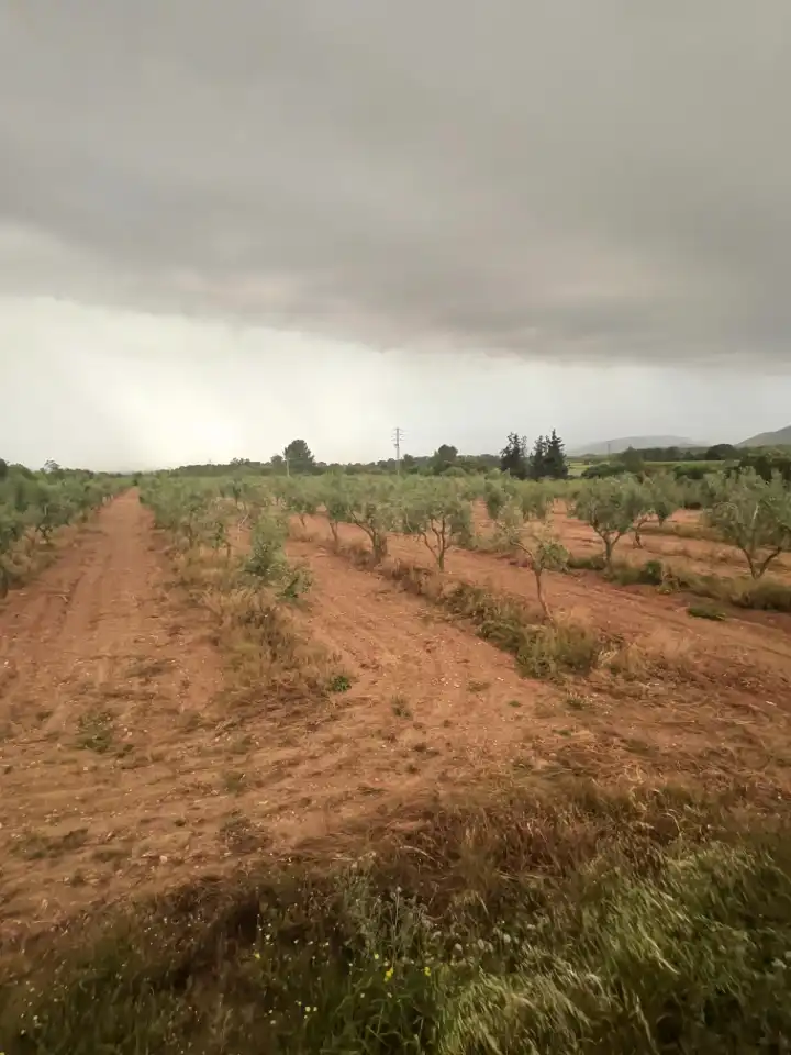 Terreny en venda a Arrabal Plan Parcial 3, 9, El Pla de Santa Maria