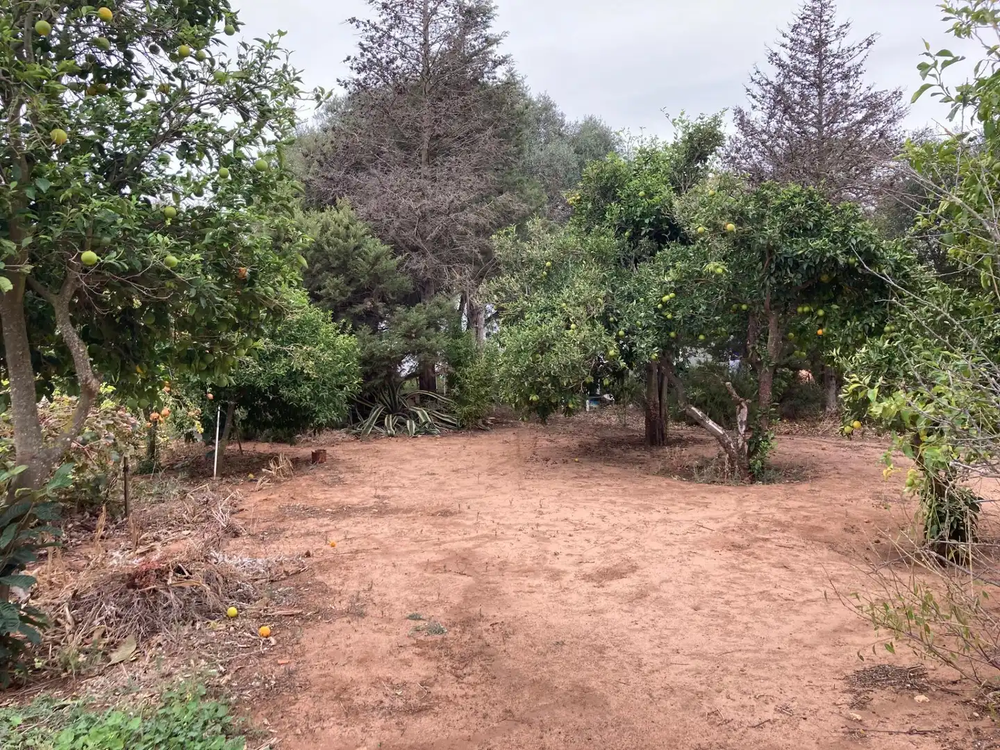 Casa rústica amb jardí en venda a Vejer, imagen 13