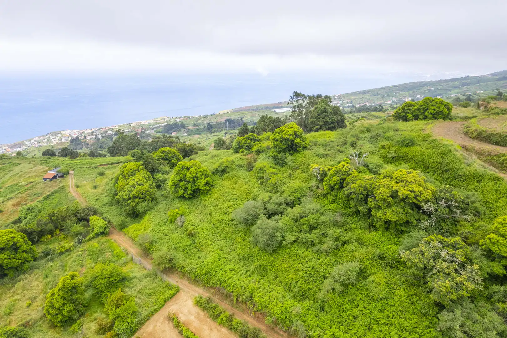 Finca rústica en venta en San Juan de la Rambla con Aire acondicionado, Calefacción y Jardín privado
