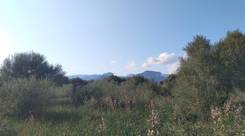 Photo 3 of Country homes for sale in Binissalem, Illes Balears