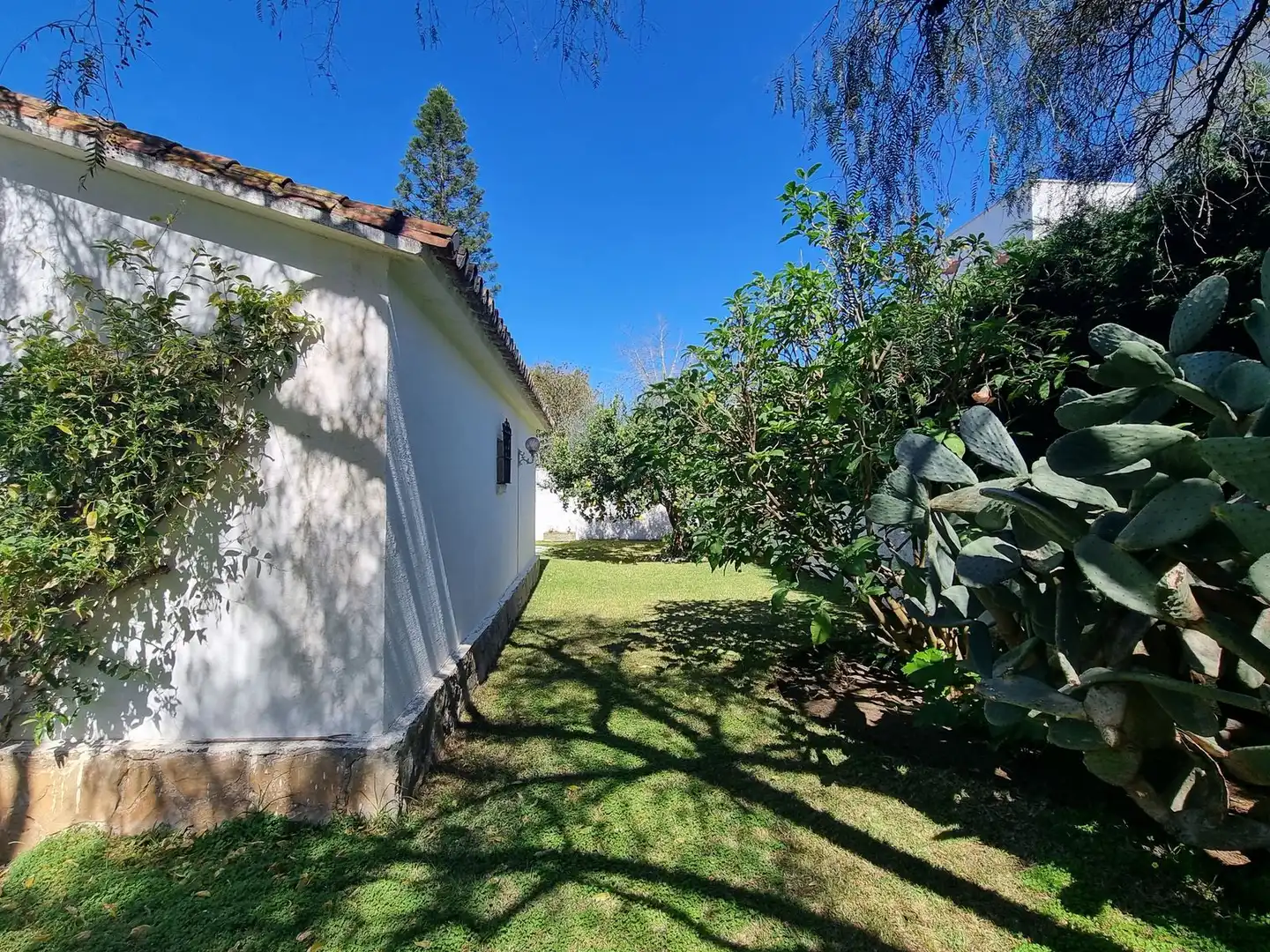 Villa con piscina in vendita a Avenida José Banús 32, imagen 33