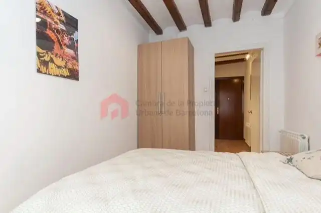 Flat with terrace for sale in Ciutat Vella, imagen 12