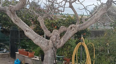 Foto 3 de Finca rústica en venda a N/a, Viator, Almería