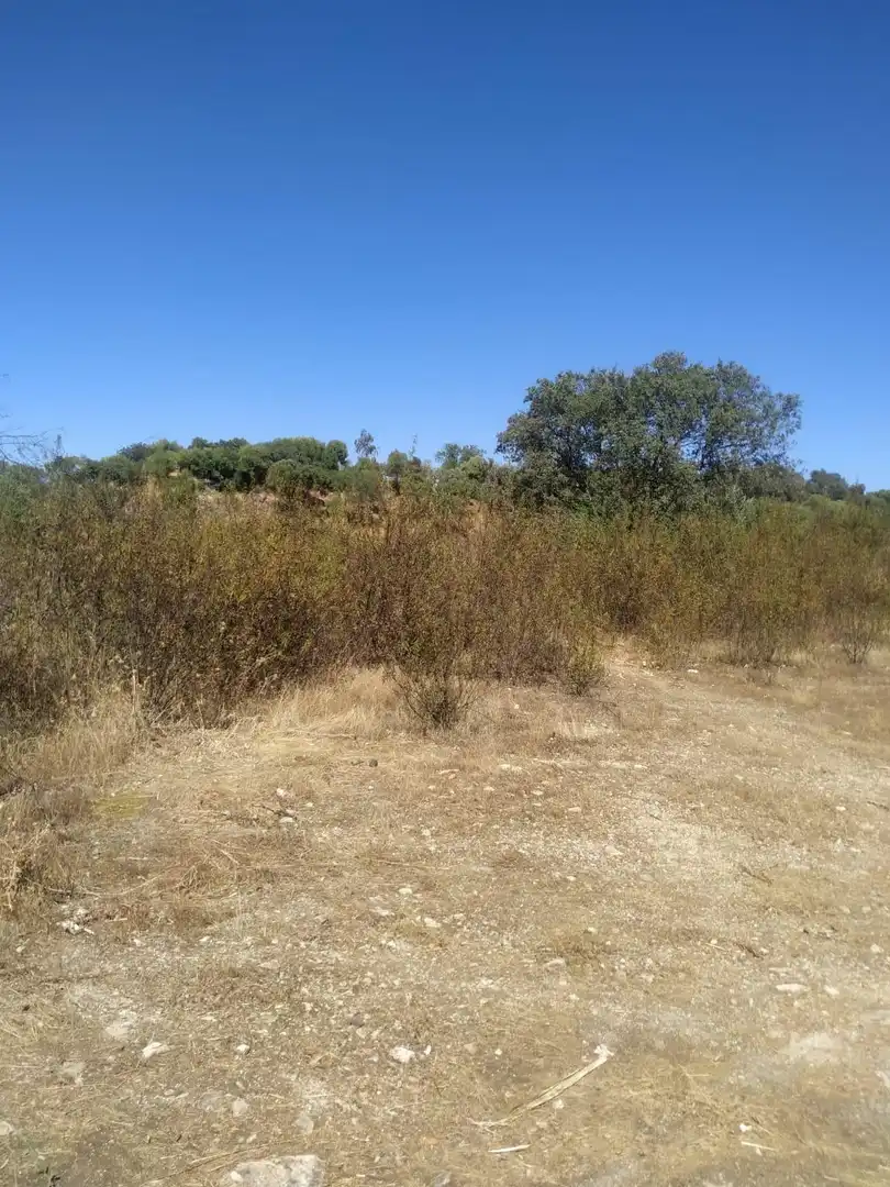 Terreny rústic en venda a Almodóvar del Río, imagen 9