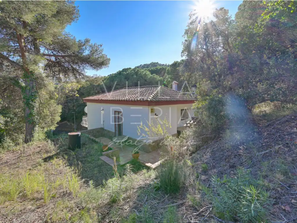 Jardí de Casa o xalet en venda en Santa Cristina d'Aro amb Jardí privat i Terrassa