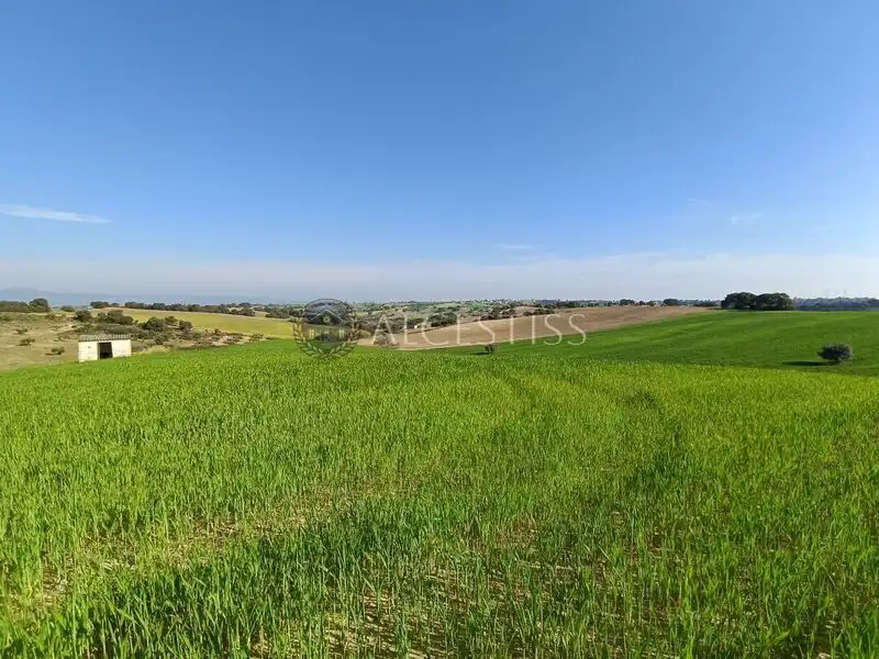 Terreni e lotti in vendita a Méntrida, imagen 12