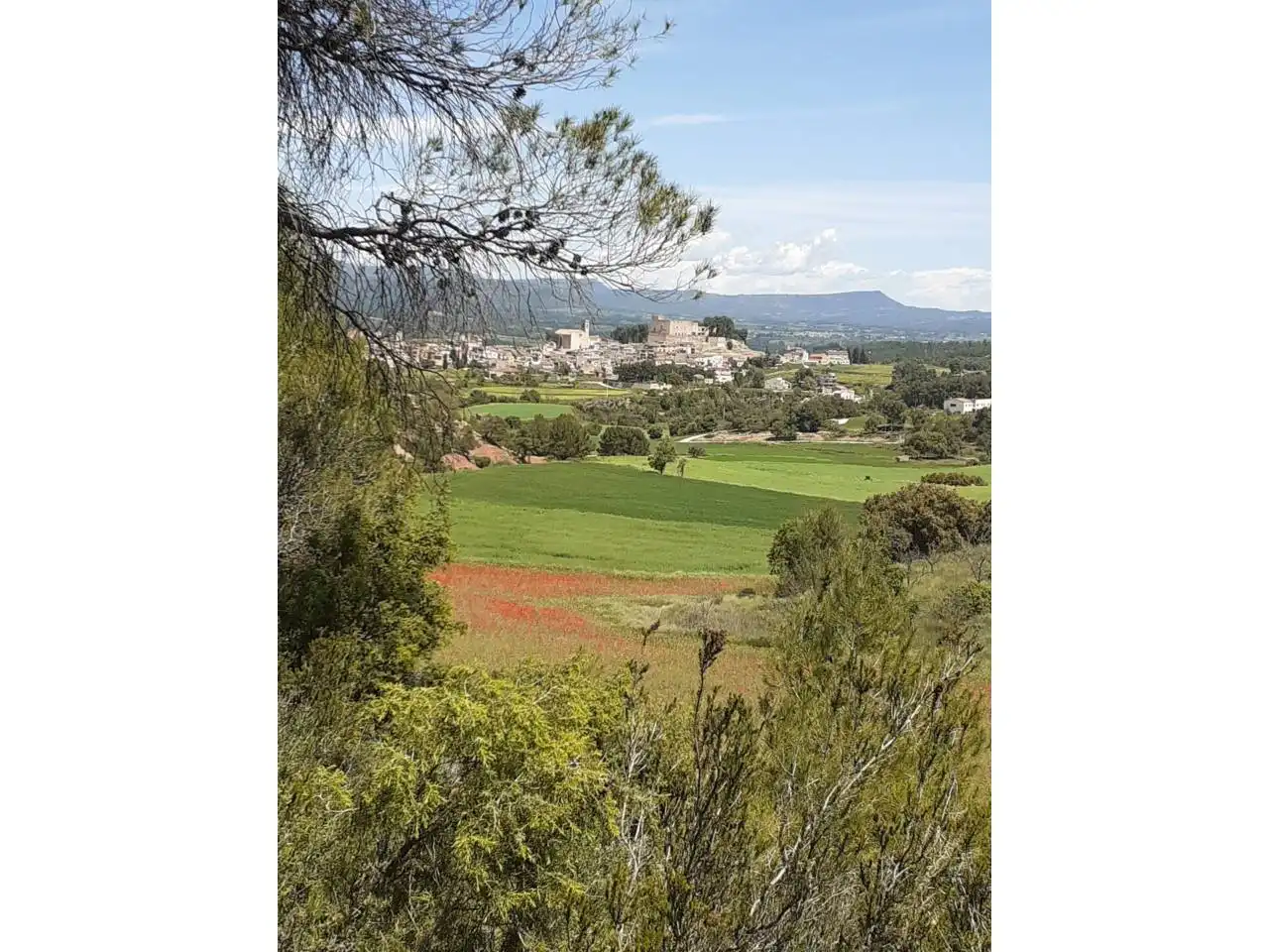 Casa o chalet en venta en Calle Major, Sant Martí de Tous