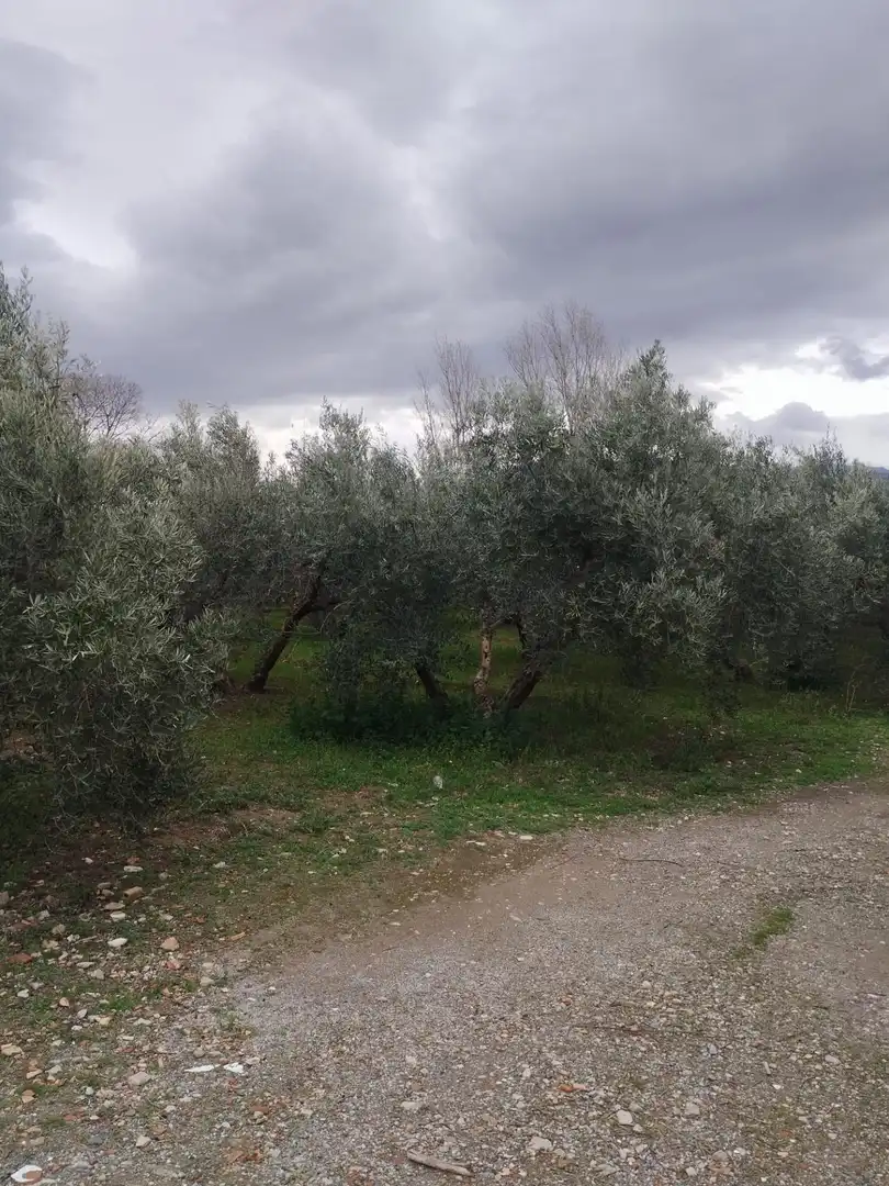 Terreni e lotti in vendita a Camino del cerro poligono 3 parcela, imagen 19