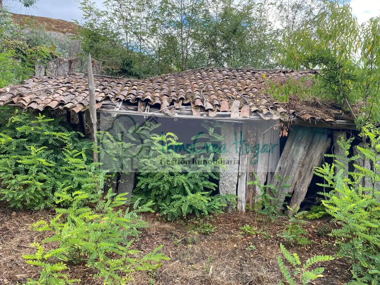 Casa rustica in vendita a Salceda de Caselas, imagen 16