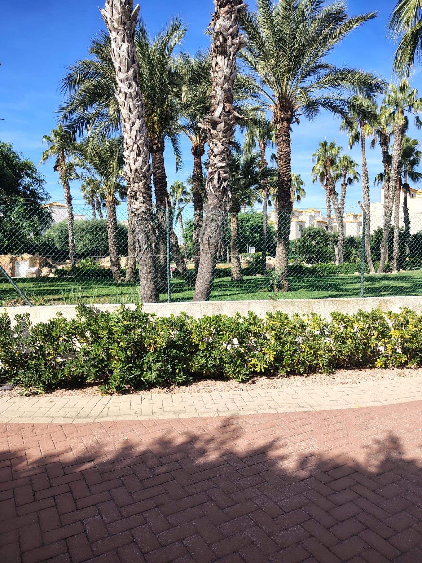 Vista exterior de Casa adosada de lloguer en Santa Pola amb Terrassa i Piscina comunitària