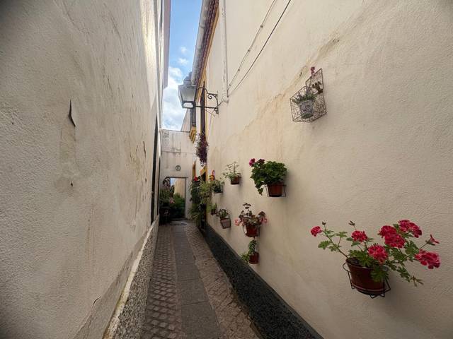 Terreno residencial en Venta en Casco Histórico  - Ribera - San Basilio